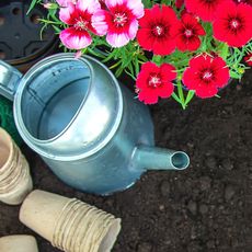watering can, flowers and pots next to garden soil