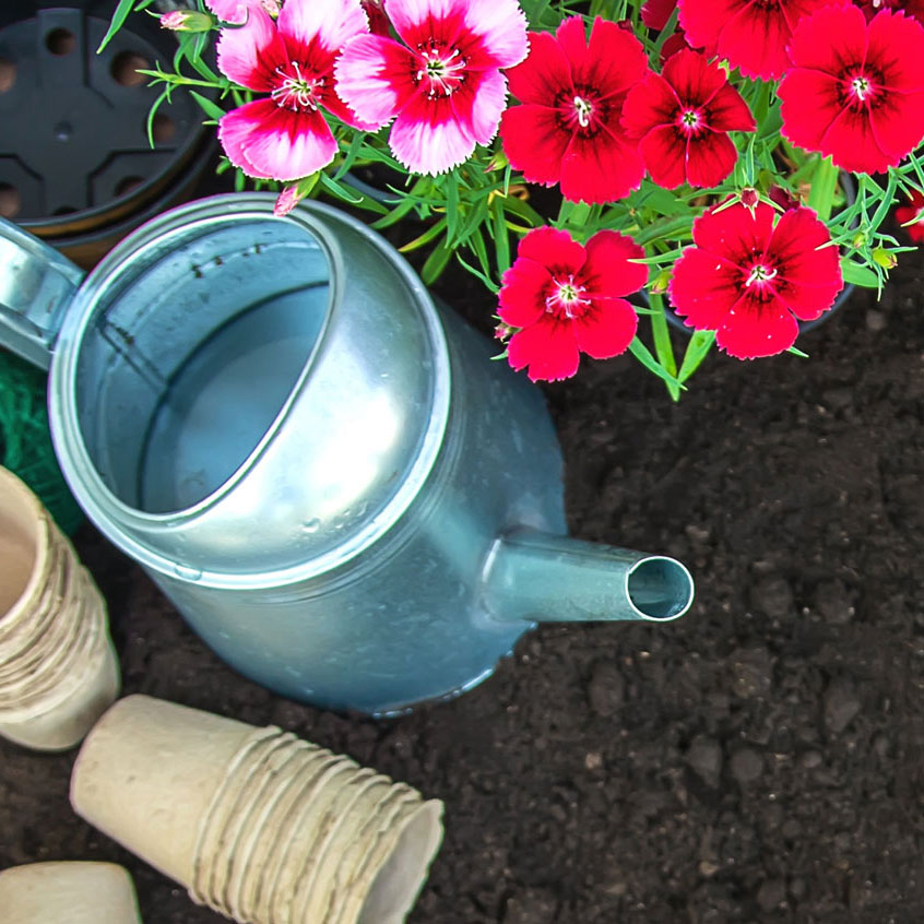 watering can, flowers and pots next to garden soil