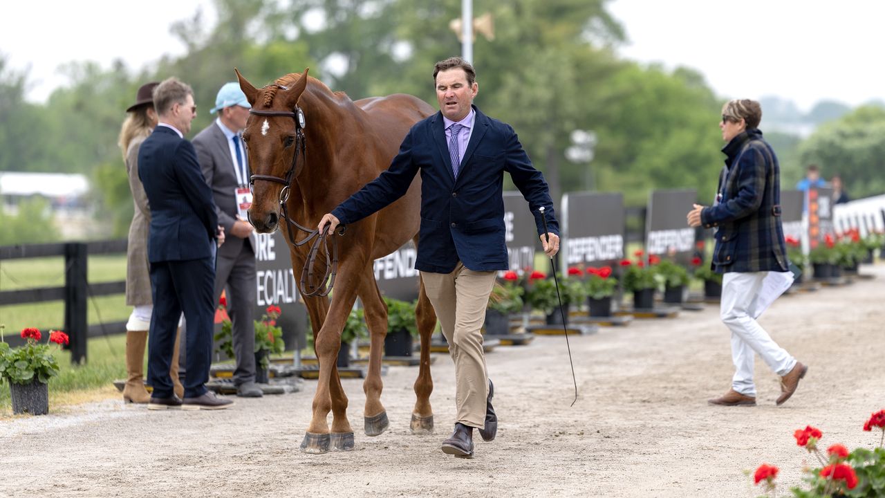 Phillip Dutton presents Jennie Brannigan&amp;rsquo;s ride FE Lifestyle at the Kentucky Three-Day Event final trot-up 2026.