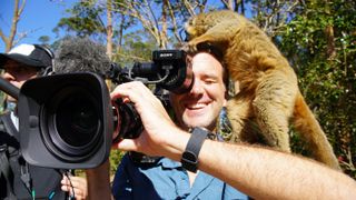 Lemuria Land, Nosy Be, Madagascar - A lemur plays with a camera man's hair. (WGBH Educational Foundation/Chun-Wei Yi)