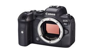 Canon EOS R6 body
