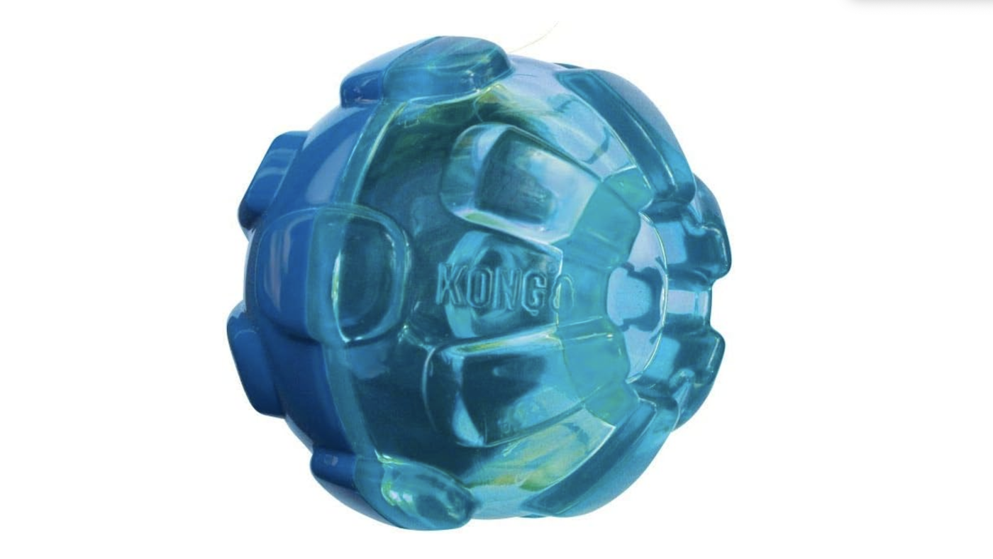 Kong treat dispenser toy