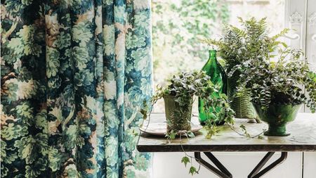 Houseplants on table with patterened curtain in the background