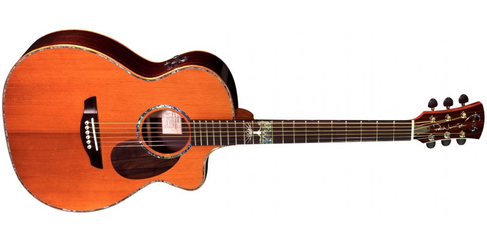 Faith Guitars The Twenty Legacy guitars
