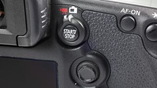 Canon EOS 5D Mark III vs Nikon D800