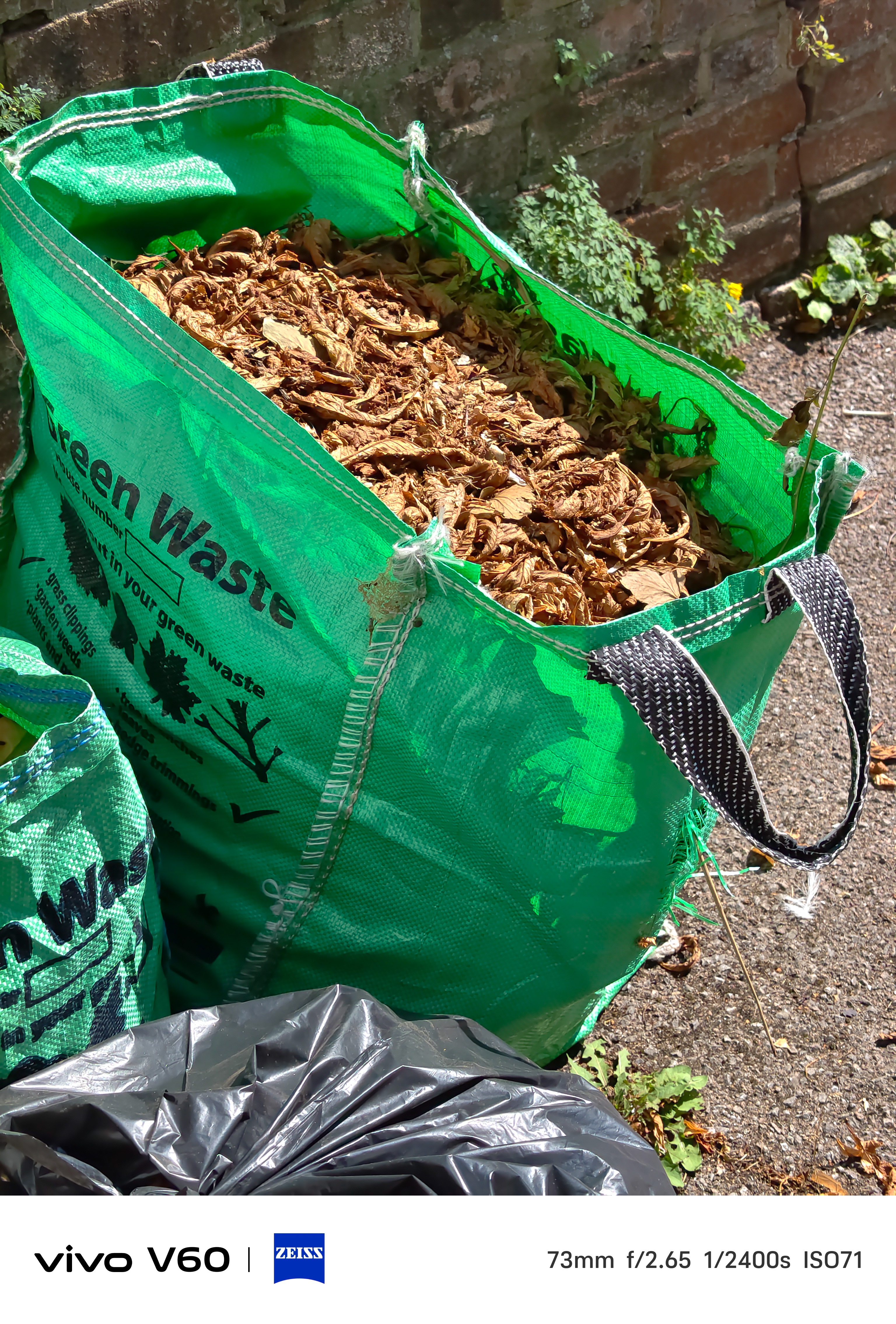 A recycling bag full of brown leaves