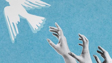 Photo collage of three hands reaching for a dove flying away. Each hand is further away than the last.