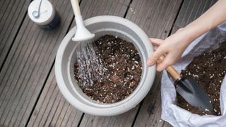 picture of woman watering plant pot with soil in it