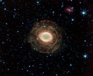 Flower in the Ring Nebula