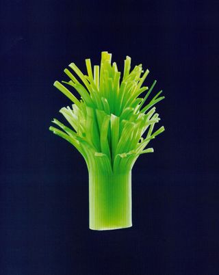carved spring onion garnish for bloody mary