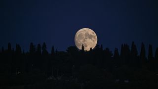 A nearly full moon rises over a treeline
