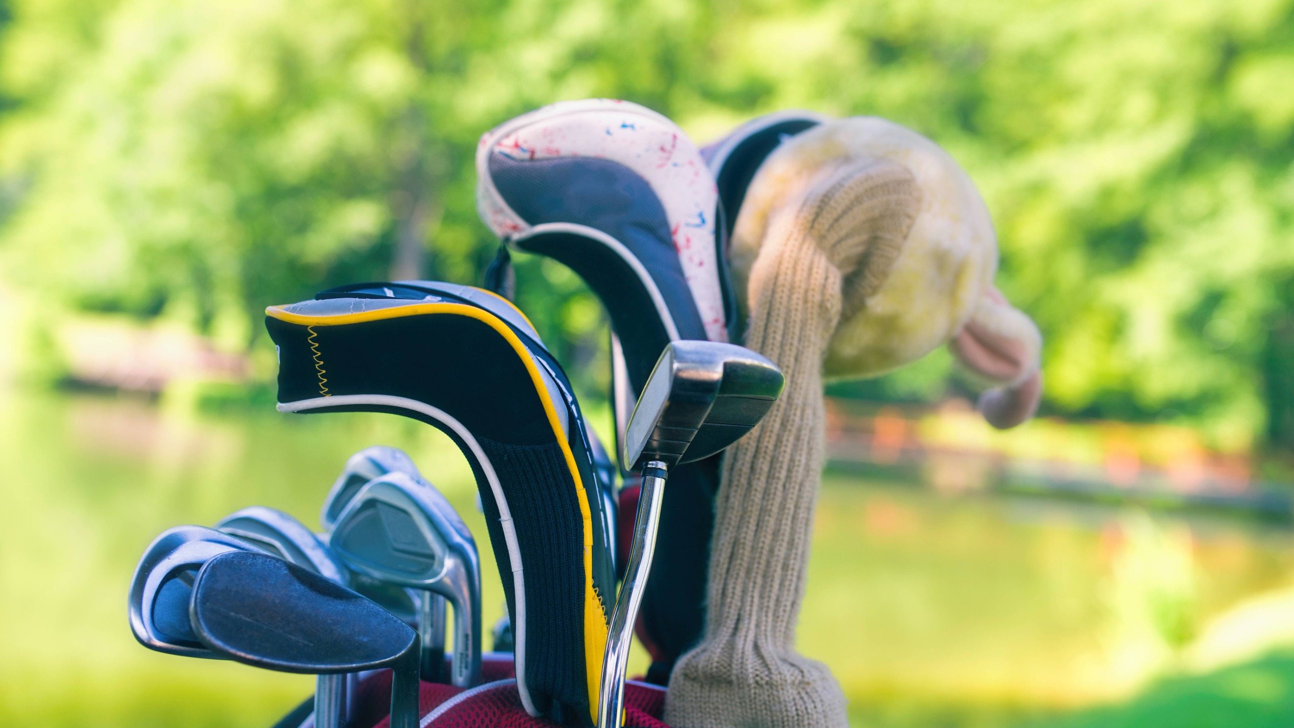 Set of golf clubs