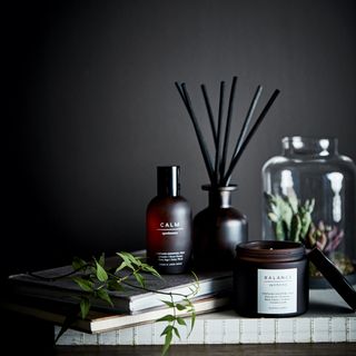 marks and spencer apothecary collection