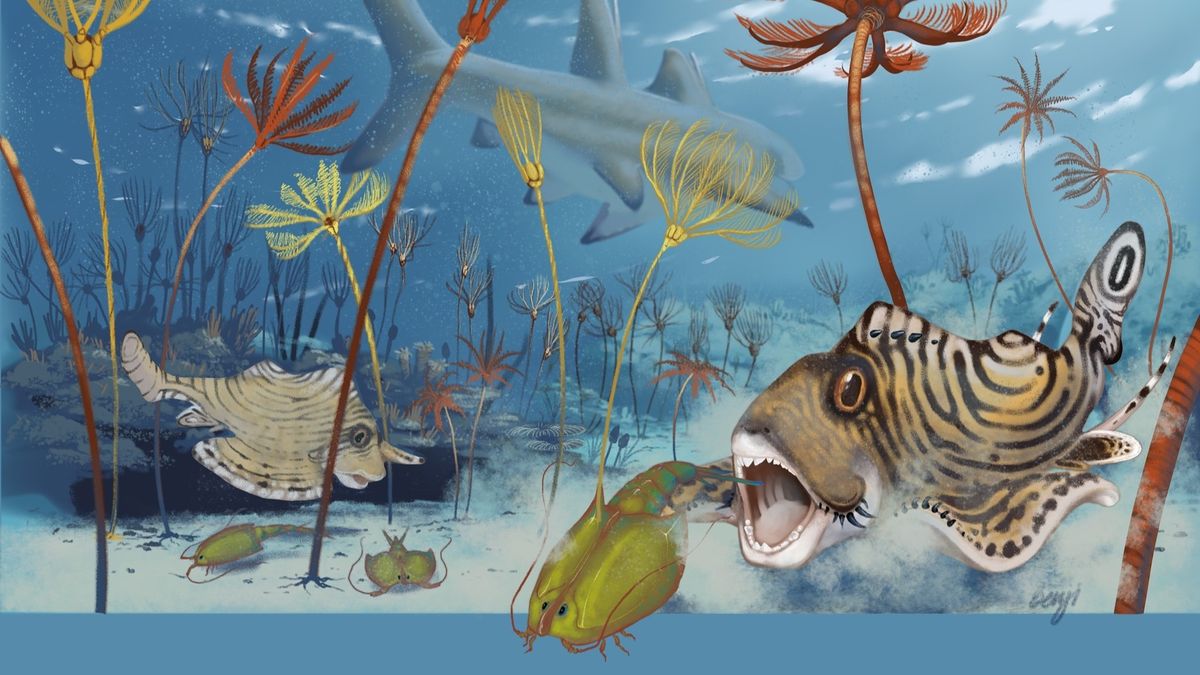 An illustration of McGinnis&#039; nail tooth (Clavusodens mcginnisi) depicted hunting a crustation in a reef-like crinoidal forest during the Carboniferous period.