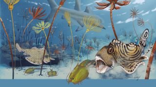 An illustration of McGinnis' nail tooth (Clavusodens mcginnisi) depicted hunting a crustation in a reef-like crinoidal forest during the Carboniferous period.