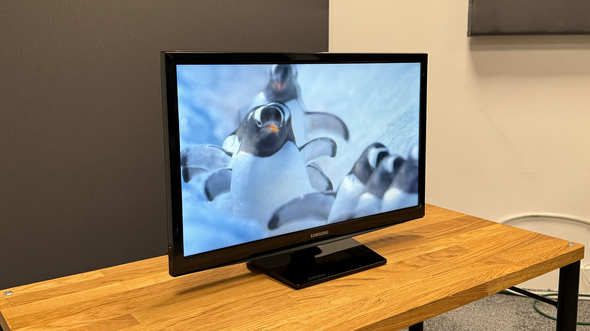 Samsung UE24N4300 TV slight angle from left showing penguins on screen
