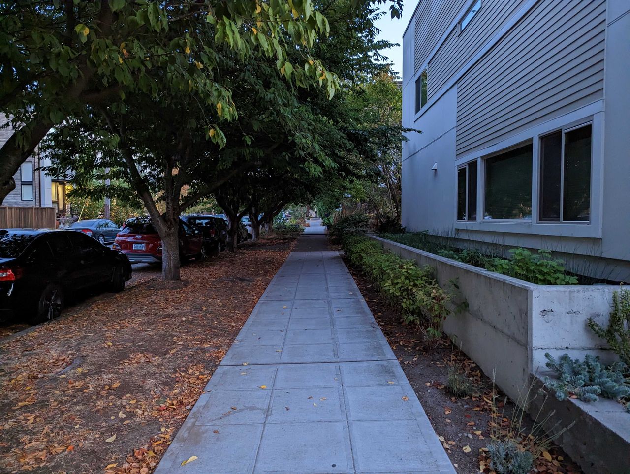 Picture of a sidewalk in the morning