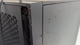 A PC case overrun with baby spiders.