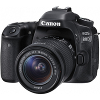 Canon EOS 80D + lens | was $1,249 | now $350Save $350