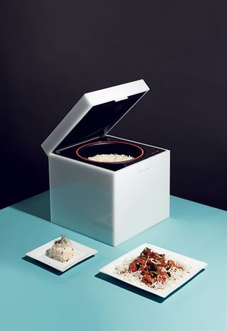 Rice cube cooker with two ready dishes on table