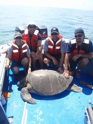 boat-group-turtle-100622