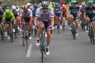 Peter Sagan rides on the front of the bunch