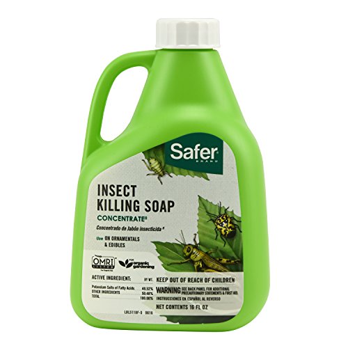 Safer 5118-6 Insect Killing Soap Concentrate - Insecticidal Soap for Plants - Kills Aphids, Whiteflies, Thrips, Spider Mites, and More - Omri Listed for Organic Use