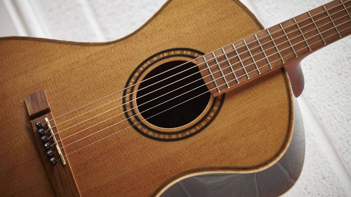 Maple binding on the wooden purfling and soundhole rosette defy the price tag