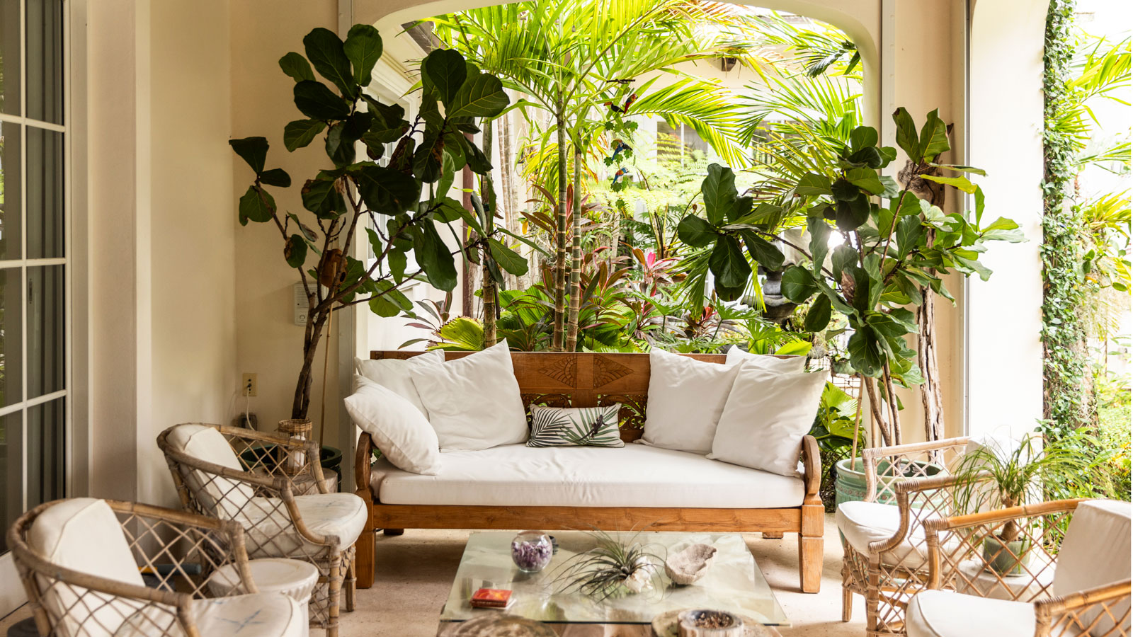 front yard patio area with garden furniture, potted fiddle leaf fig plants and accessories