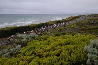 The peloton enjoy some coastal views during the 2020 women’s Cadel Evans Great Ocean Road Race