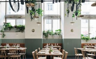 Interior of the Prado Restaurant. High ceilings are painted in muted mint green and white, with plants hanging from metal railings that are attached to the ceiling. Wooden tables and chairs and set throughout the area.