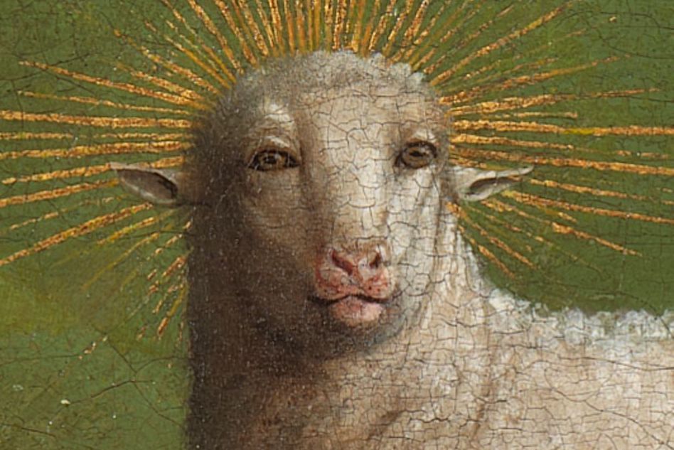 The restored lamb gazes into your soul.