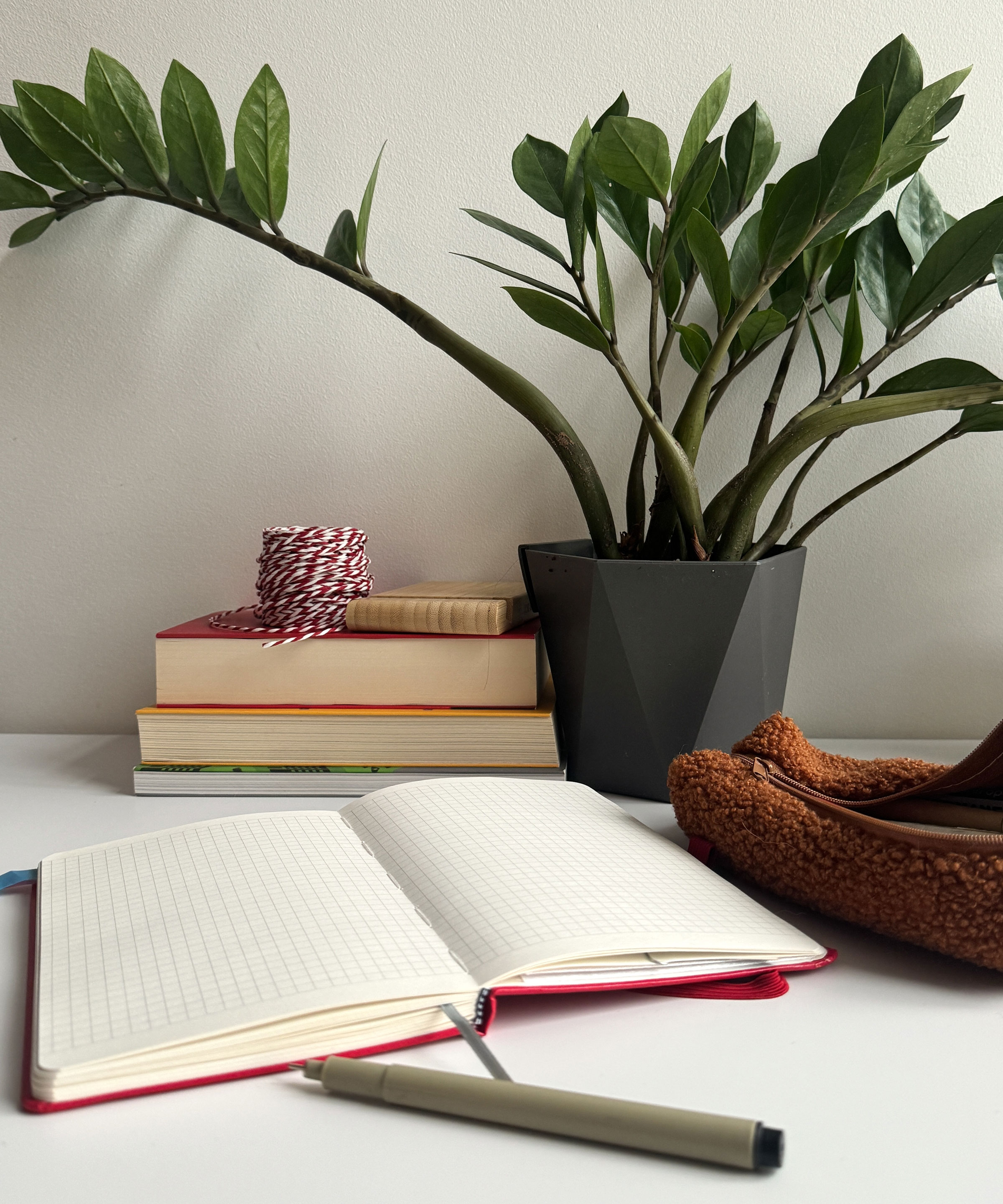 zz plant on desk with books in white workspace