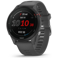 Garmin Forerunner 255