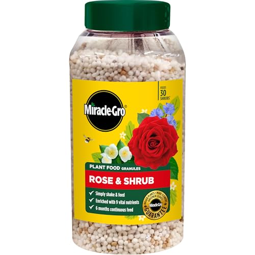 Miracle-Gro Premium Rose &amp;amp; Shrub Continuous Release Plant Food, 900g