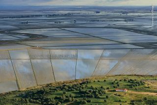 Flying in a little Cessna plane over the inland sea of rice paddies, Barbara was hoping for a striking reflective composition. What she hadn’t expected was this strange optical illusion, with the lower rectangular fields reflecting the sky as if from a sloping wall.