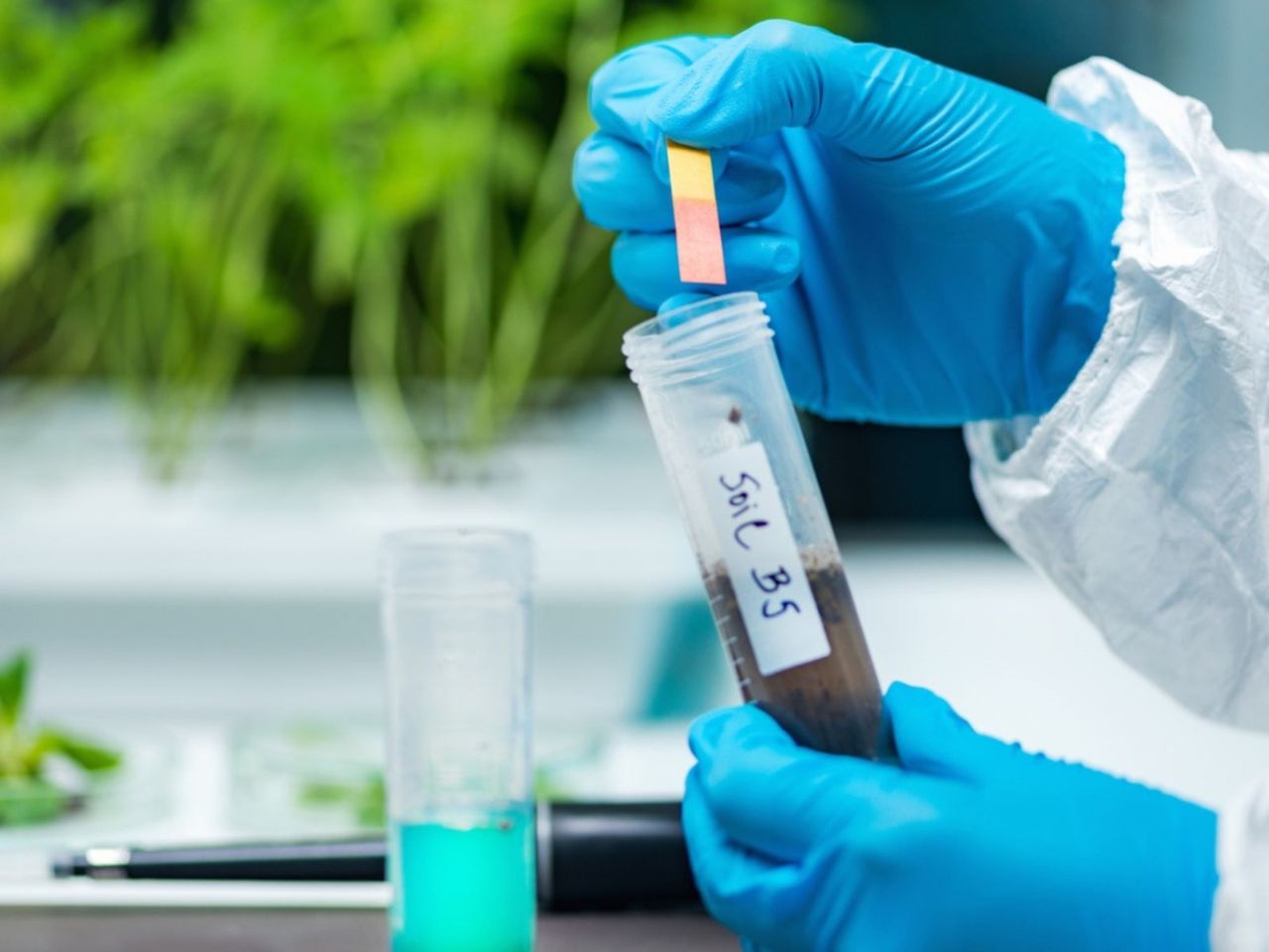 Botanist Testing Garden Soil In A Lab