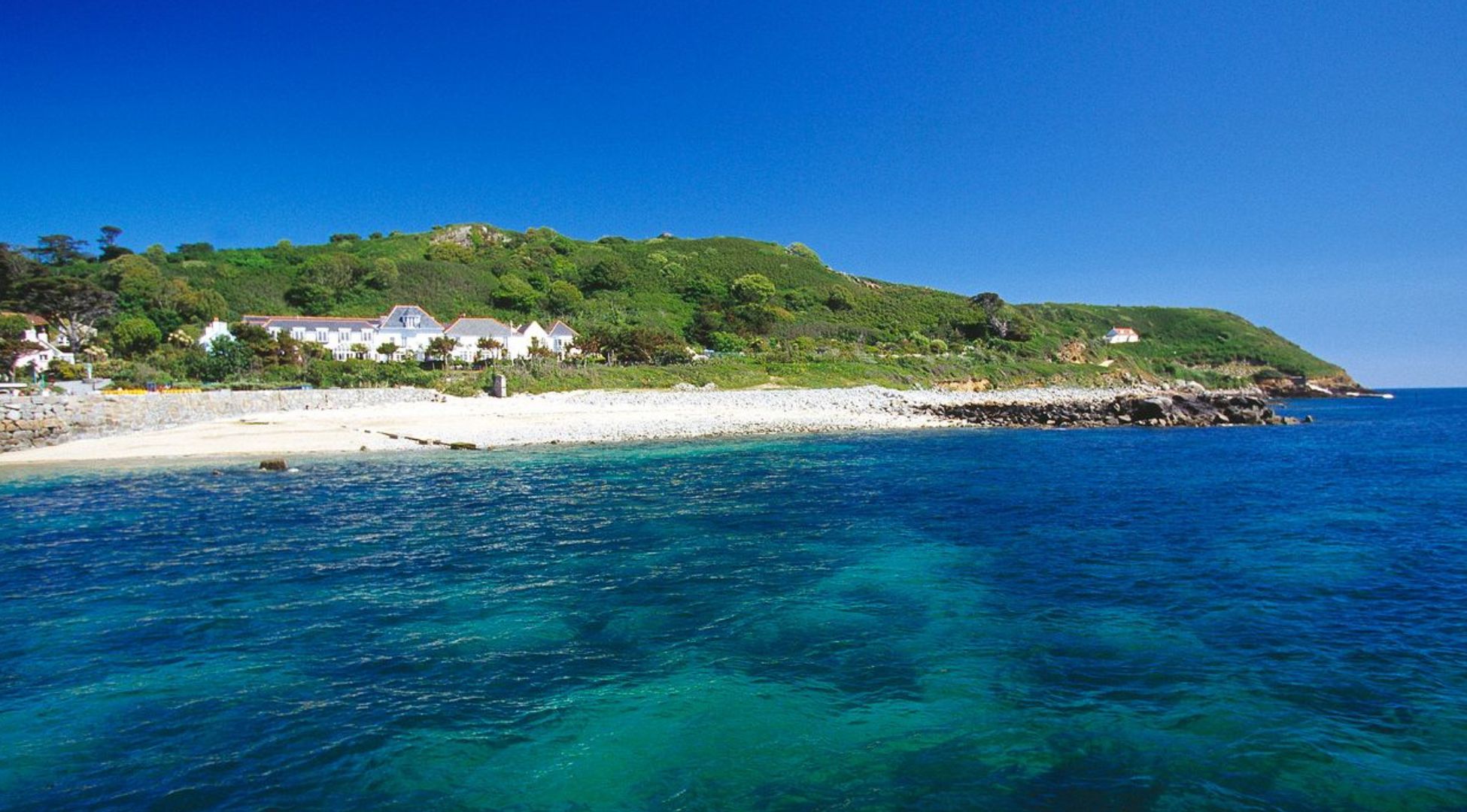Image of herm