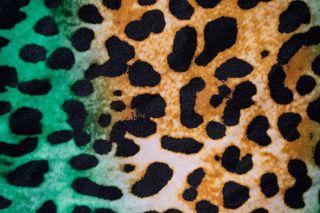 Green and gold leopard print fabric