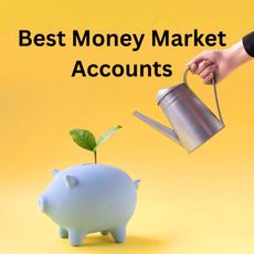 Hand watering sprout on piggy bank with the words Best Money Market Accounts above 