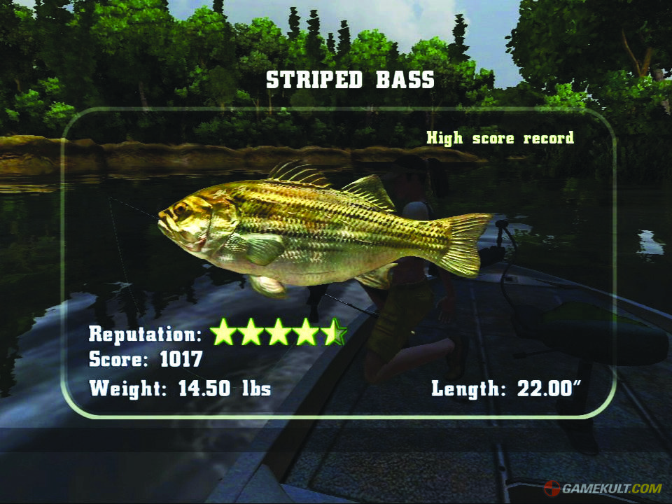 Rapala's Fishing Frenzy review