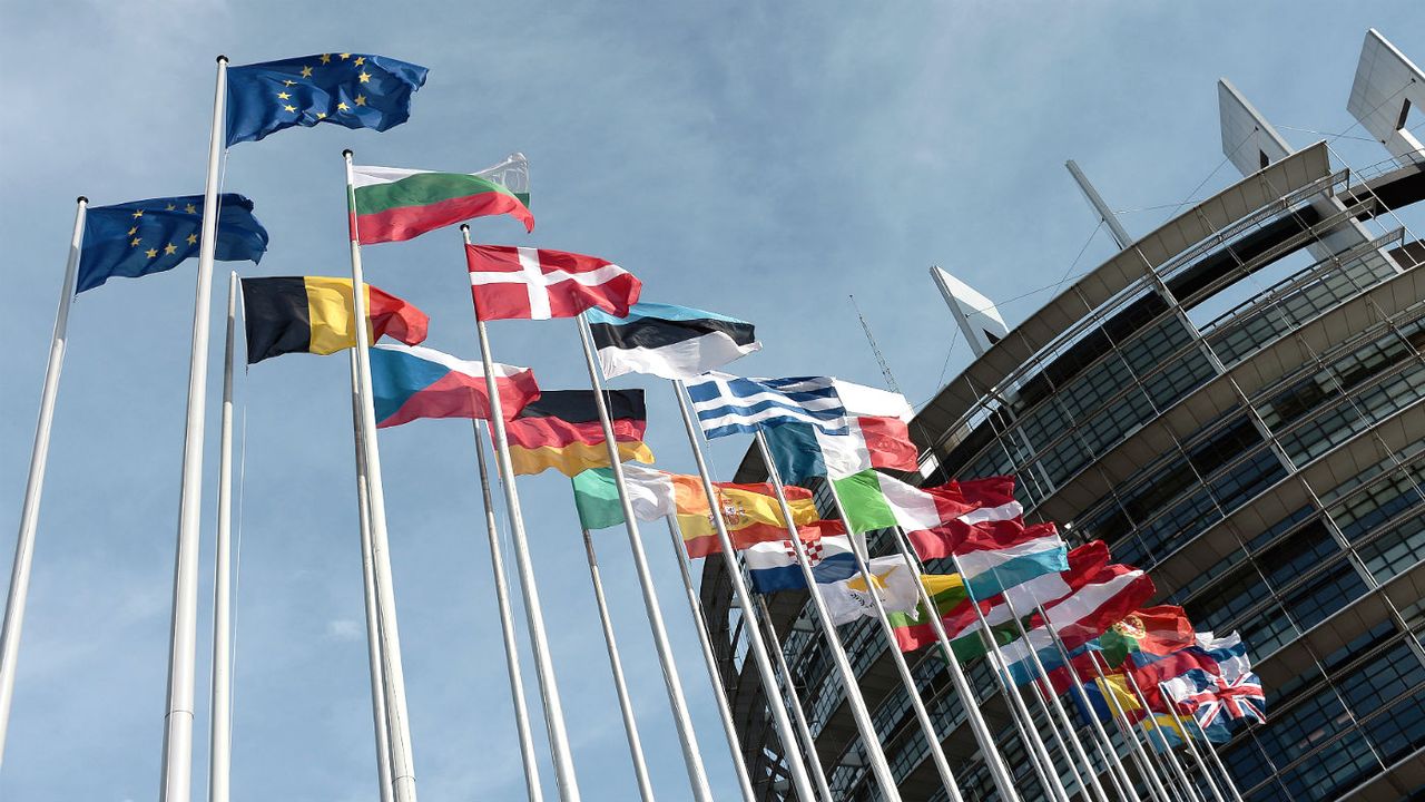 Member flags fly outside the European Parliament in Brussels