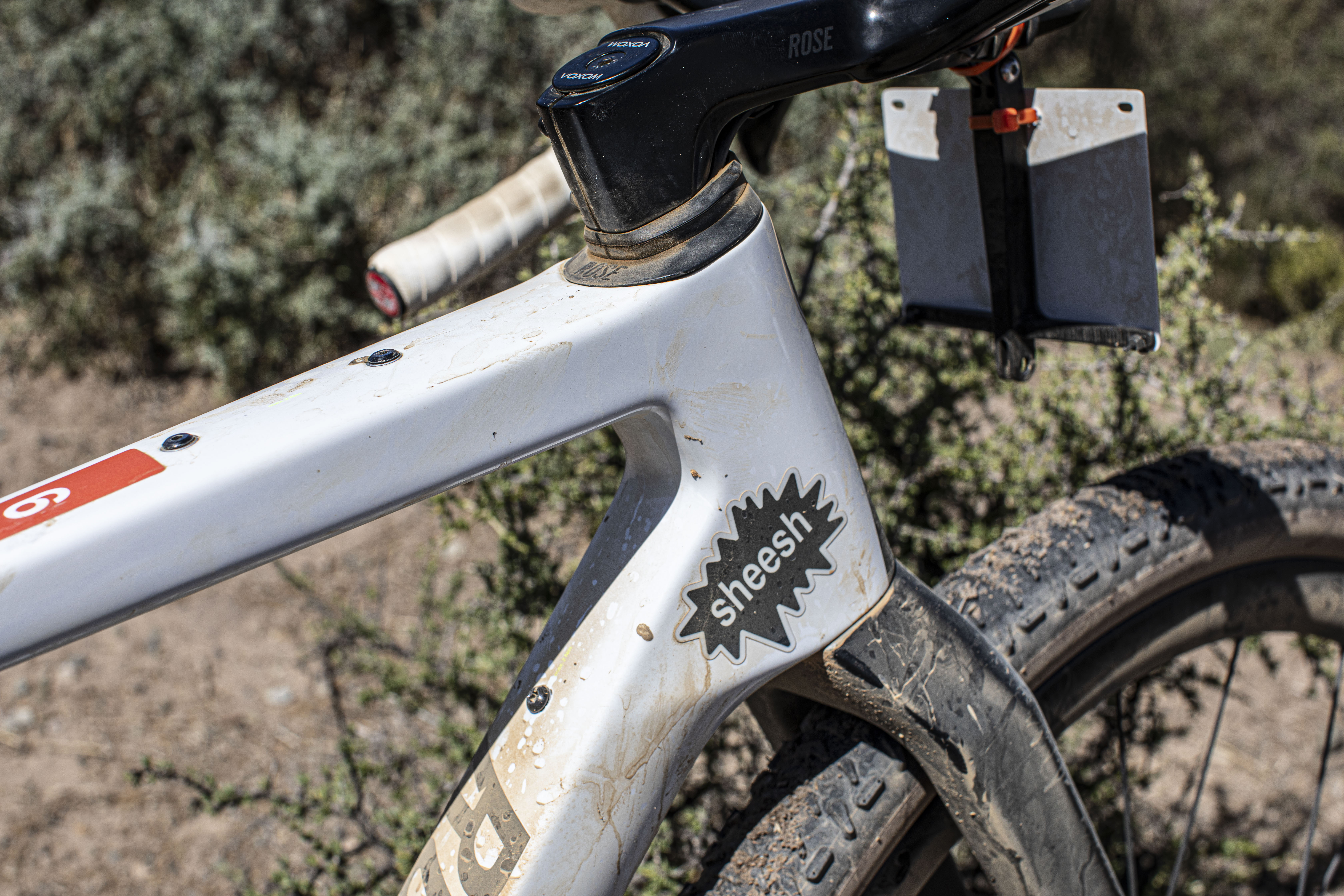 Lukas P&amp;ouml;stlberger&#039;s Rose Backroad FF for Gravel Burn