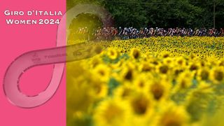 The peloton racing at the Giro d'Italia Women