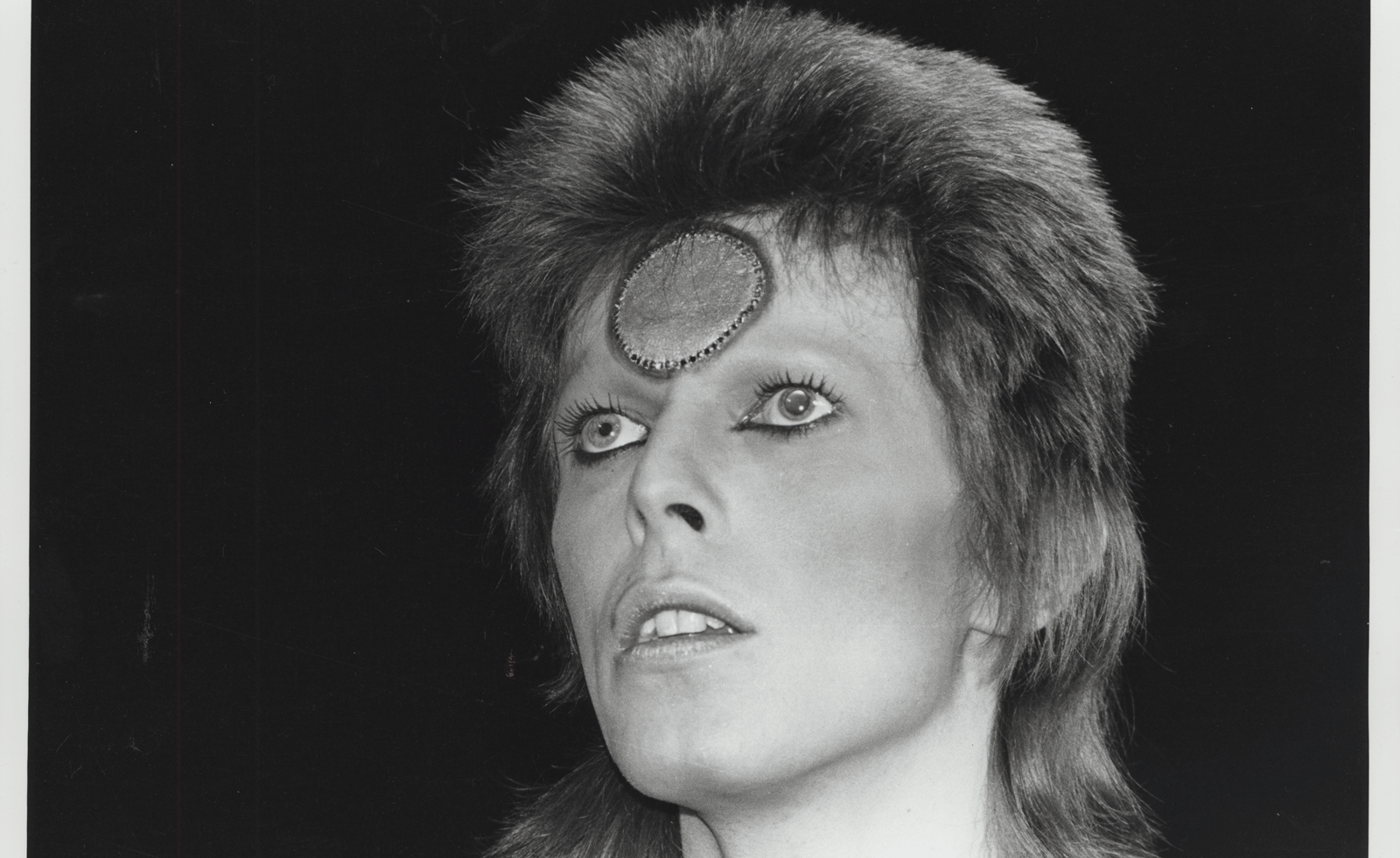 david bowie