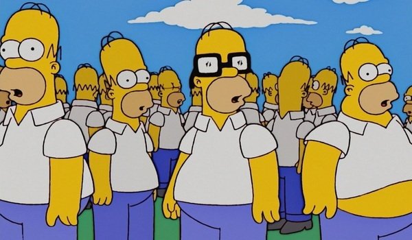 the simpsons homers fox