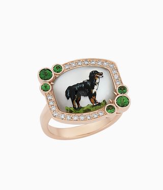 portrait of dog within ring