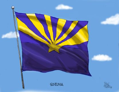 Political cartoon U.S. Kyrsten Sinema Arizona victory Senate Democrat blue wave