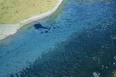 Thymann's team had to take a helicopter to get to the remote lake