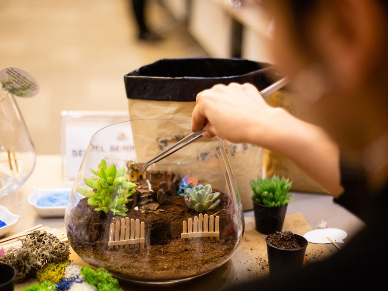 Gardener Making Small Glass Bowl Garden